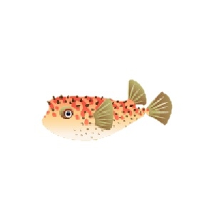 Tan Fin Burrfish